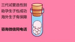 上海供卵试管哪家医院可以做？费用多少钱呢？